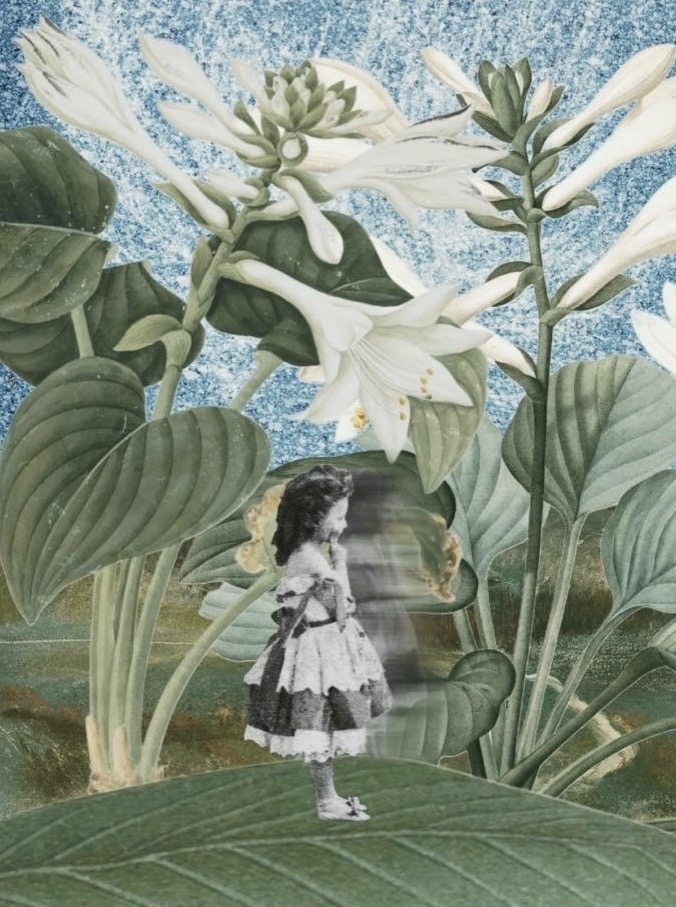 Серия работ в рамках проекта Digital Collage