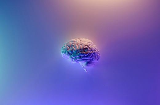 Нейроэстетика: мозг, дизайн, искусство